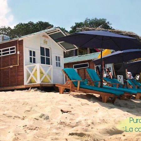 فندق Pura Vida Baru - La Casa Del Cholo Pendales المظهر الخارجي الصورة